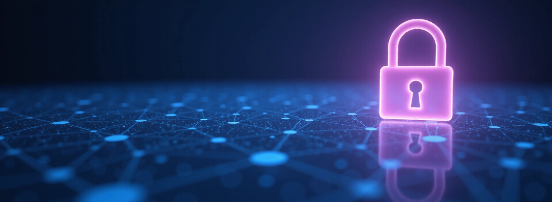 Abstract representation of digital security and privacy